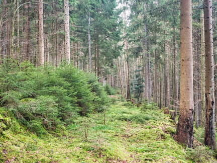 20220205202133-f547c055